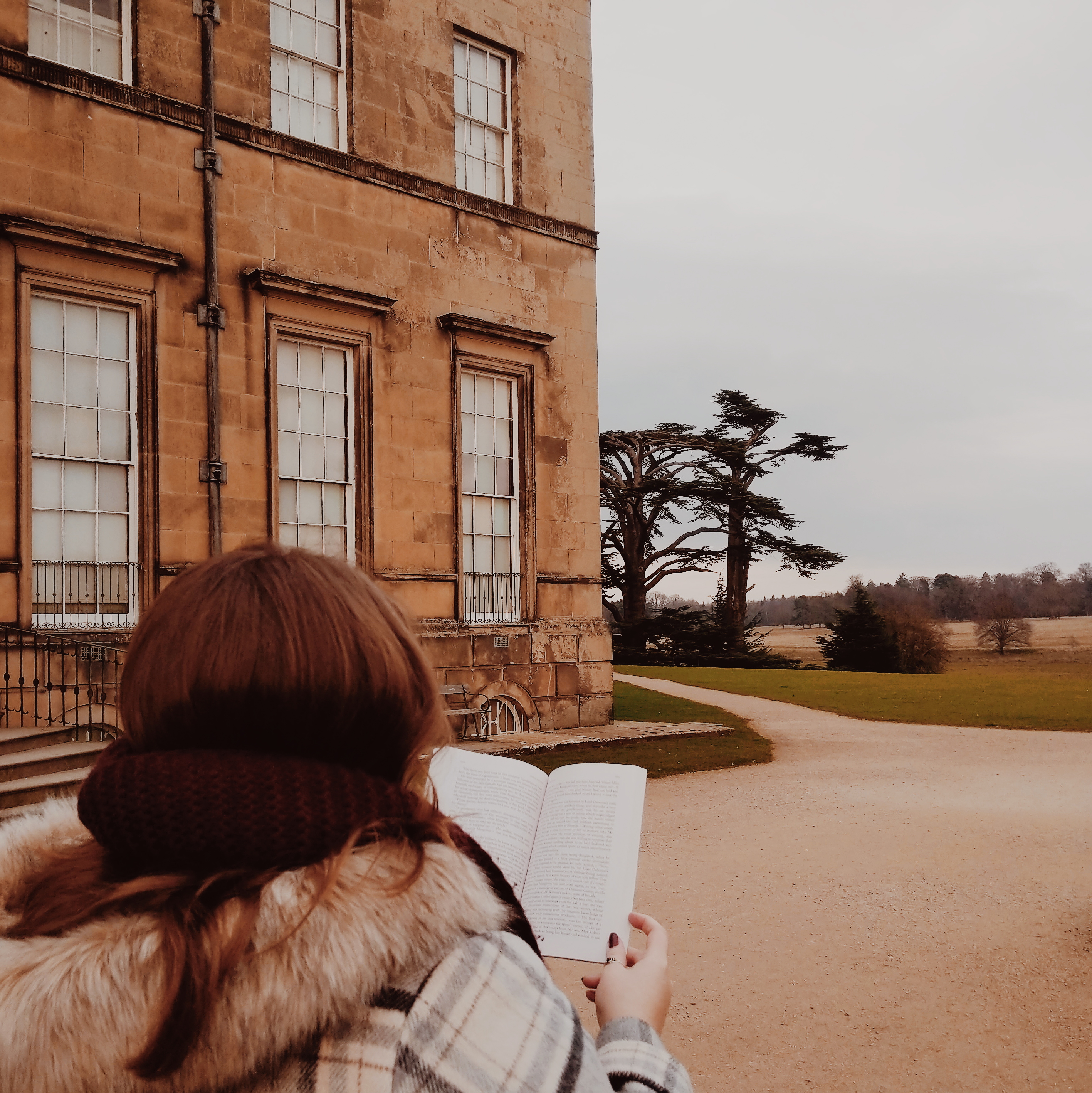 The Bookworm's Feast